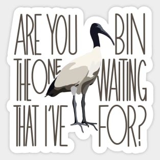 Are You The One That I’ve Bin Waiting For? (bin chicken, ibis) Sticker